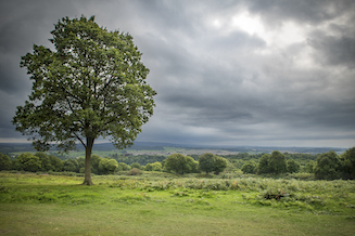 iStock-842116546, Kinver Edge